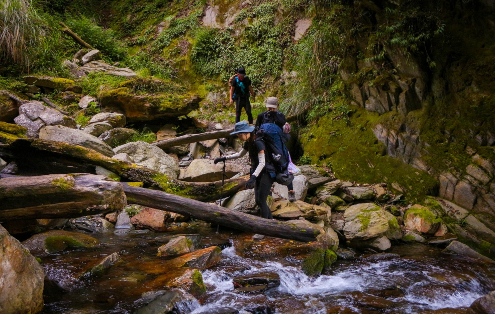 山問攀登 The Great Hunger_能高安東軍北三段縱走｜六天五夜｜水鹿的天堂